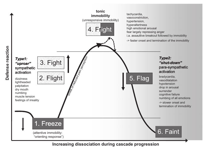 Cure your trauma with no drugs or psychiatric nonsense; What is Somatic Experiencing ?